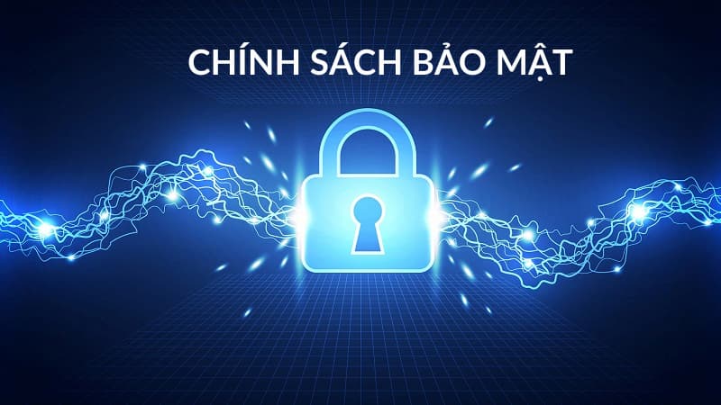 Chính sách về quản lý vi phạm